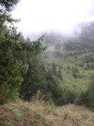 Saddle Mountain Oct 9 2005 017 